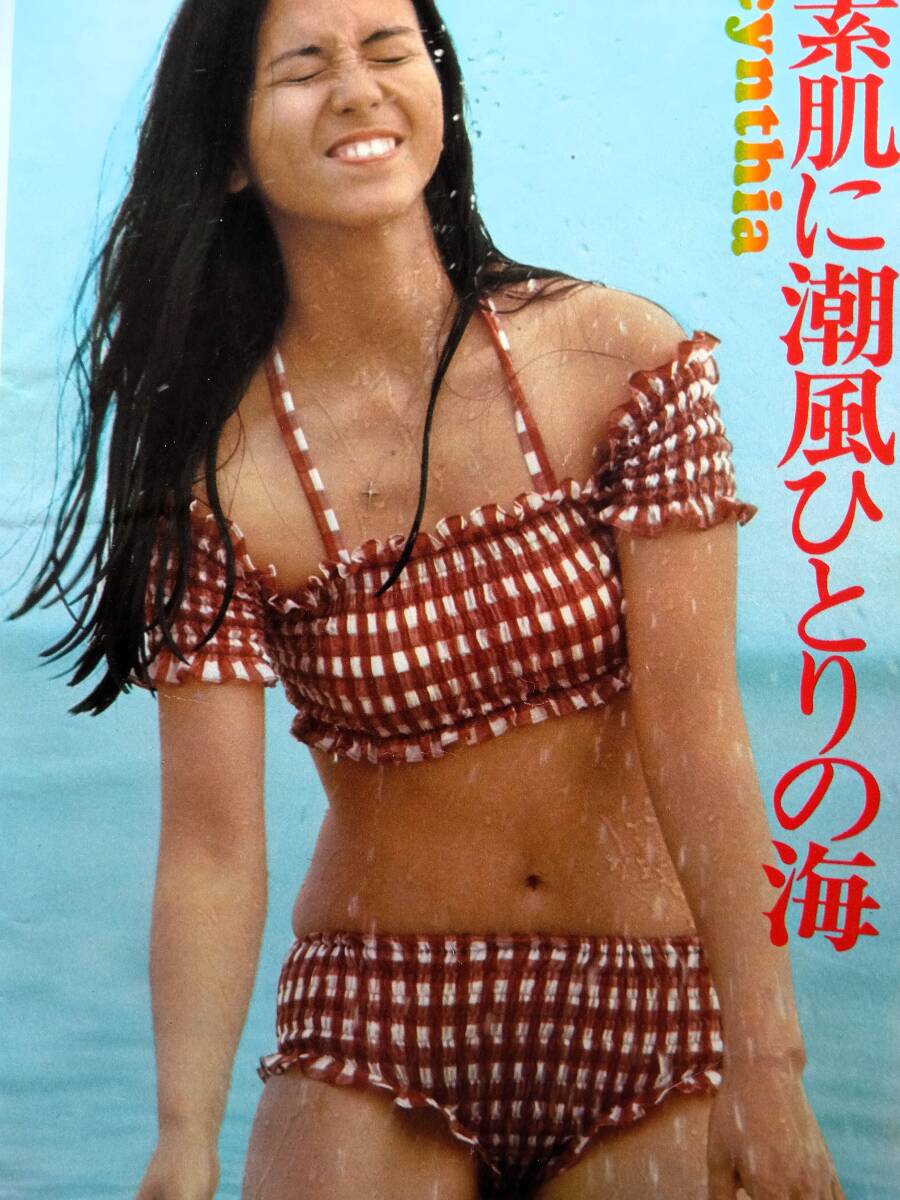 活動歴および当時の関連ビジュアル記録