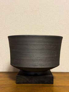 2026年04月｜Yahoo!オークション(旧ヤフオク!)の盆栽