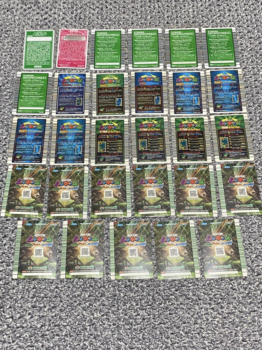 甲虫王者ムシキング ムシキングカード ムシキング プロモ キラカード