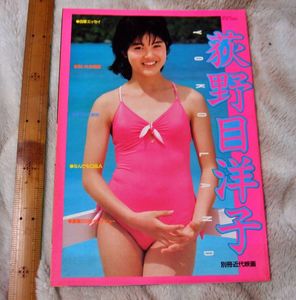 榊原郁恵 写真集の値段と価格推移は？｜6件の売買データから榊原郁恵