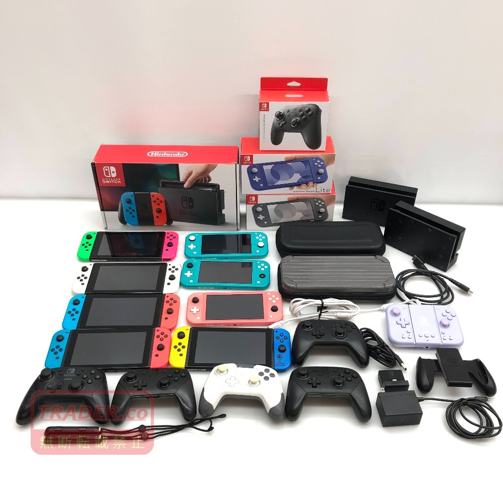 ジャンク Nintendo Switch Lite グレー 任天堂Nintendo 【公式通販】