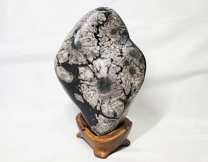 鑑賞石のYahoo!オークション(旧ヤフオク!)の相場・価格を見る｜Yahoo