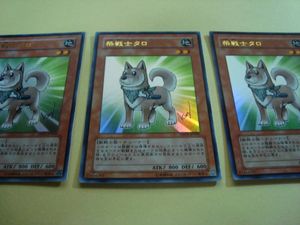 柴戦士タロの値段と価格推移は？｜9件の売買データから柴戦士タロの