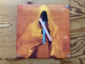 182位 【超稀少自主盤】関戸夫婦 / 二酸化炭素の無駄遣い (CO2 Records COLP-01) 1987年 国産ア
