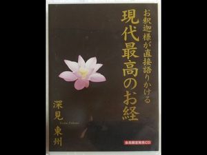 超希少 開天の徳が宿る風水物実 ピラミッド オブジェ 深見東州 ワールドメイト 超希少 開天の徳が宿る風水物実 ピラミッド オブジェ 深見東州