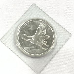 皇太子殿下御成婚 純銀の中古価格は10,477円｜記念硬貨の新品・中古の