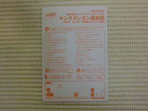 新田妃奈のYahoo!オークション(旧ヤフオク!)の相場・価格を見る｜Yahoo