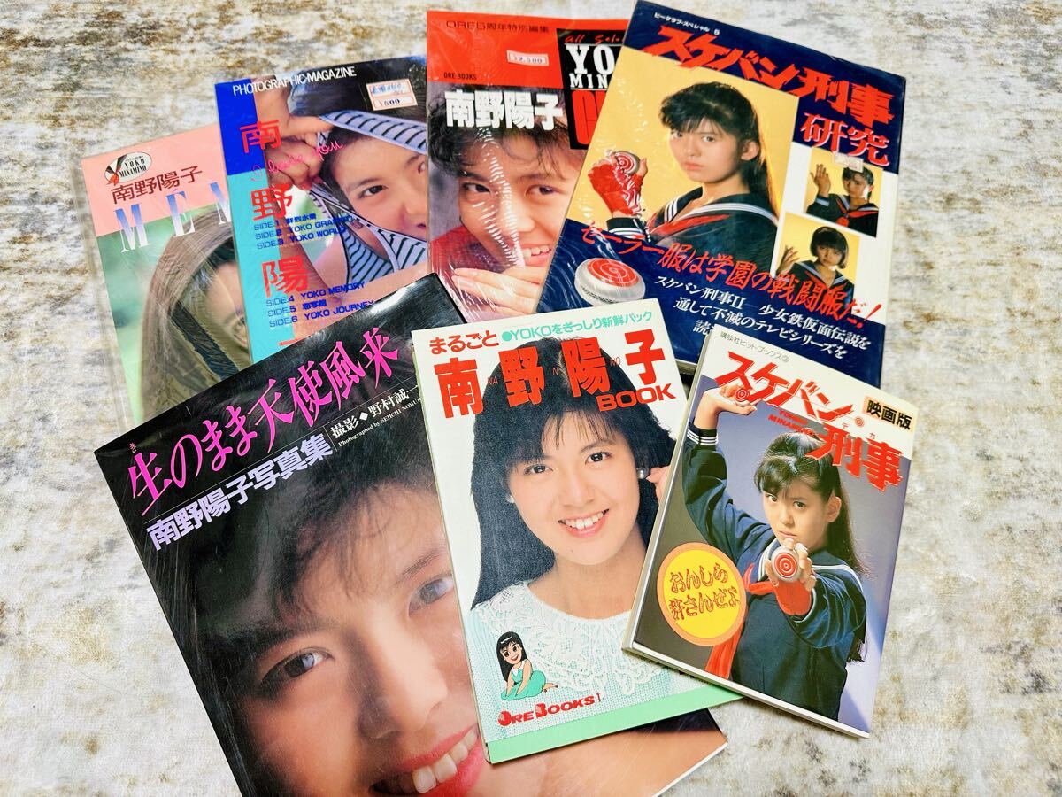 南野陽子写真集の値段と価格推移は？｜9件の売買データから南野陽子