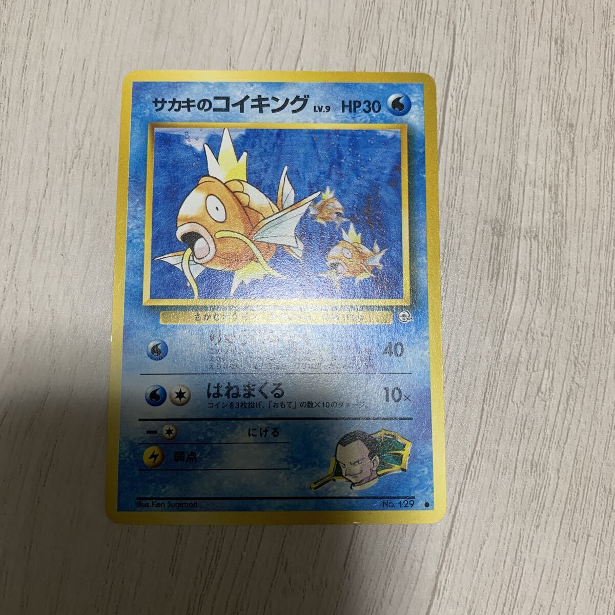 サカキのコイキングの値段と価格推移は？｜2件の売買データからサカキ