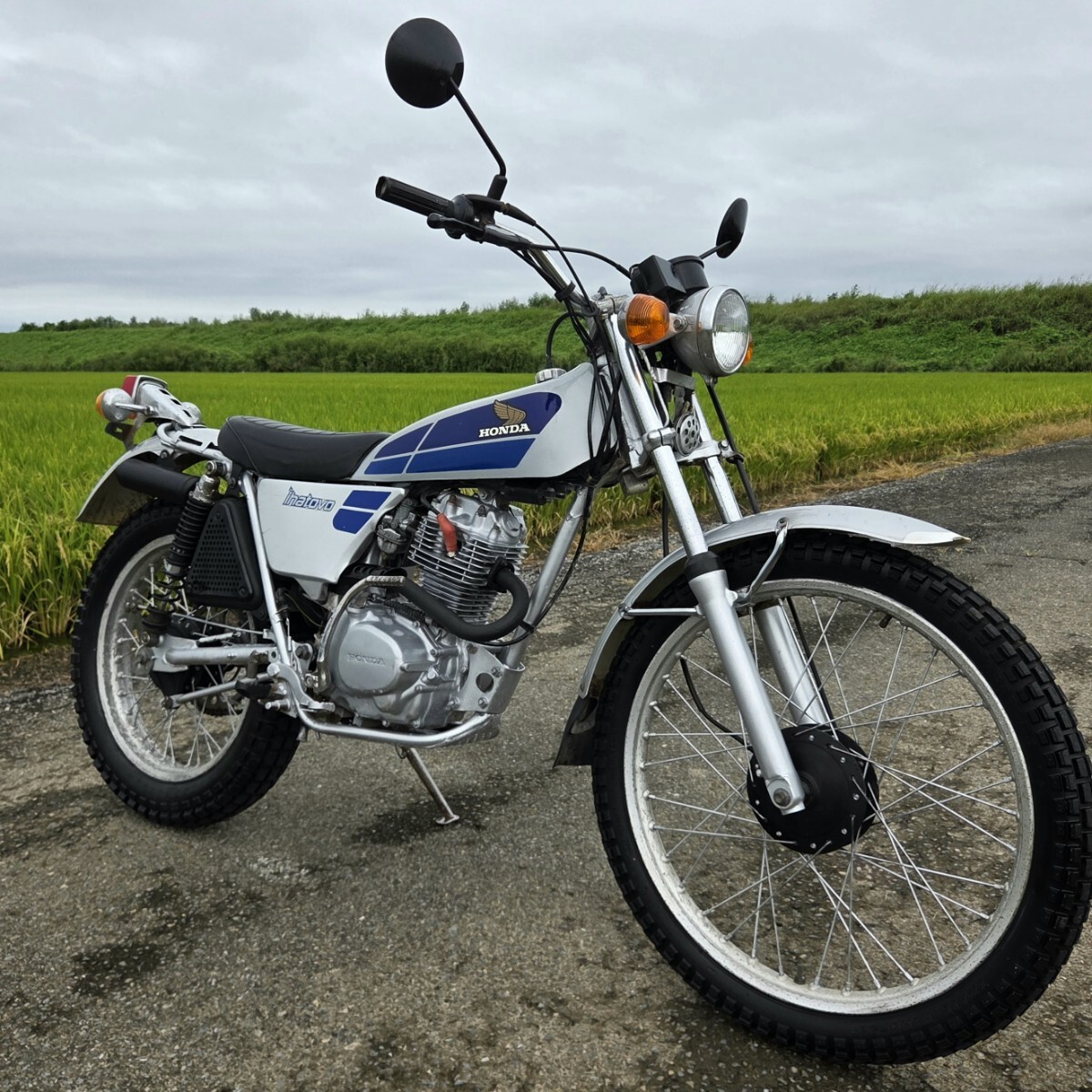 tl125 イーハトーブの値段と価格推移は？｜171件の売買データからtl125