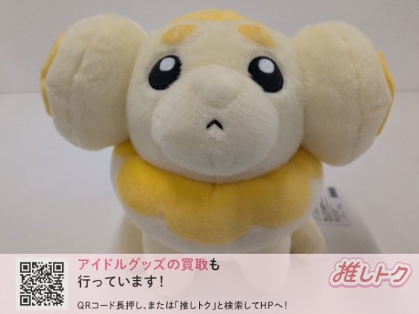 パピモッチの値段と価格推移は？｜34件の売買データからパピモッチの