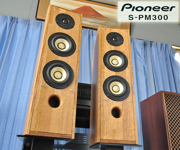パイオニア ピュアモルトシステム PIONEER S-PM300 特別チューン