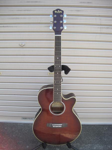 送料激安867T☆Pro Martin CUSTOM☆エレアコ☆EA500W WRS☆(マーティン 