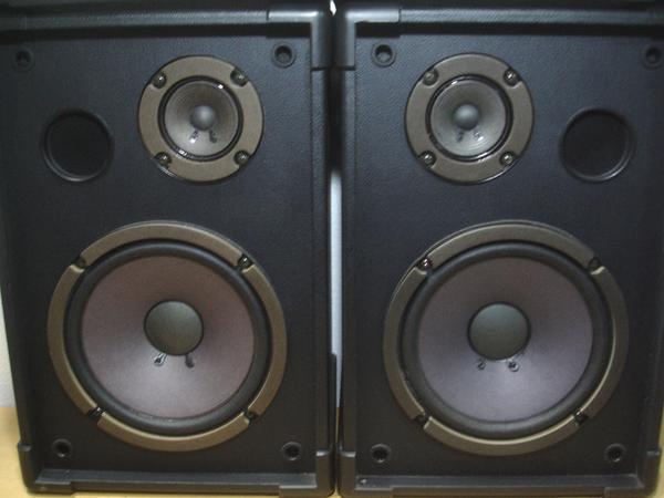 Roland ローランド スピーカー SRS-80 ペアセット/8Ω80W(スピーカー