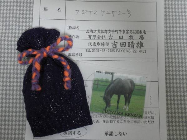 [チャリティ]名馬うまもり/フジヤマケンザンの鬣入りお守り_1