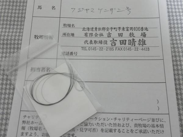 [チャリティ]名馬うまもり/フジヤマケンザンの鬣入りお守り_2