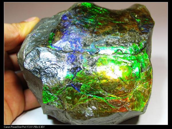 最高品質！カナダ産　美しい宝石 アンモライト 化石 10cm JC1516