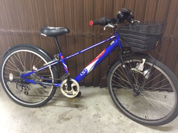 TC SURF DESIGN HAWAI 22インチ