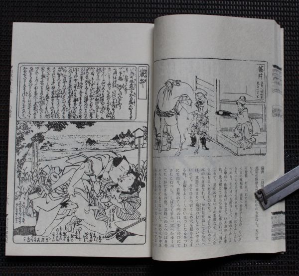 春画】複製和本「旅枕五十三次」恋川笑山 北斎画併載(和書)｜売買され