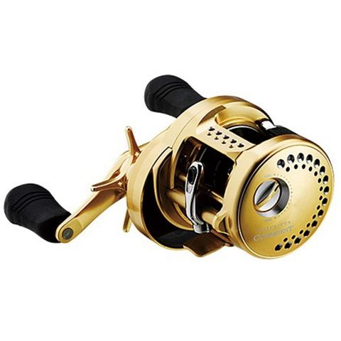 14 カルカッタ 100