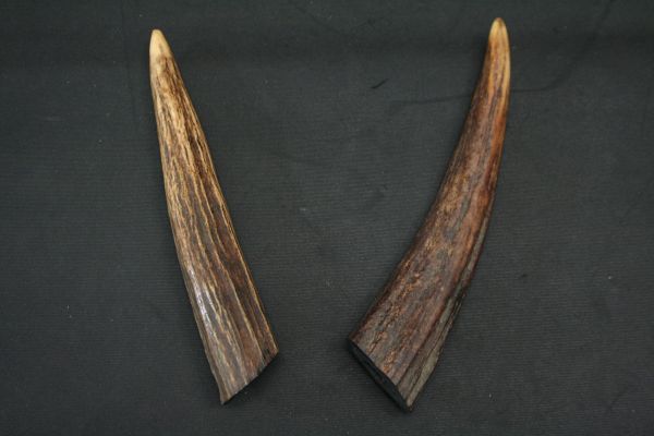 ▲▽鹿角の脇立　21.7×3.3ｃｍ　兜/甲冑▲▽