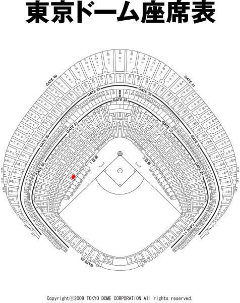【半額以下即決】 10/12（月） Ａ指定ペア 1塁側　3列目　1-4枚