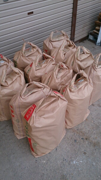 ★売れ筋★乾燥12ヶ月★ナラ★200㎏★ 送料込 地域限定 群馬～①