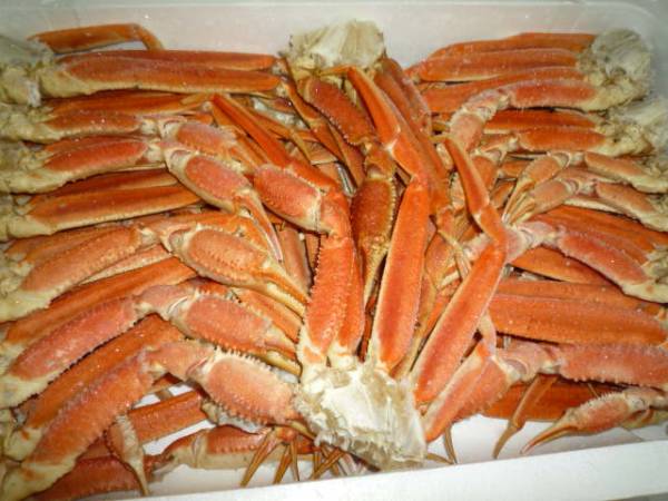 ★送料無料！訳あり本ズワイ蟹セクション活目7Ｋ！脚、あし★