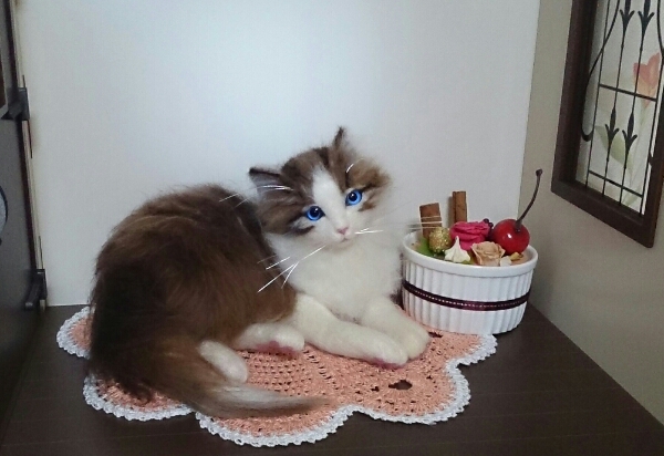 DORA 羊毛フェルト☆ノルウェージャン☆仔猫☆猫 ハンドメイド