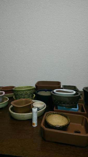 23点 松山 丸藤 文山 豊千 左楽 小品盆栽 豆盆栽 ミニ盆栽鉢