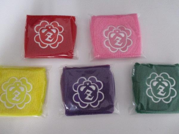 ももいろクローバーZ ももクロ団　リストバンド　5色セット