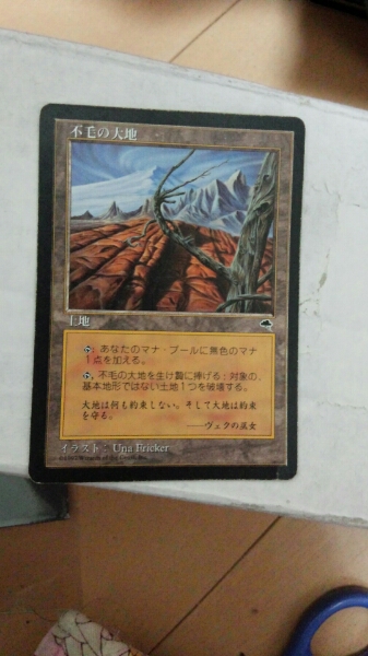 不毛の大地 | MTG 4枚セット 日本最大級 - 日本語 MTG通販サイト