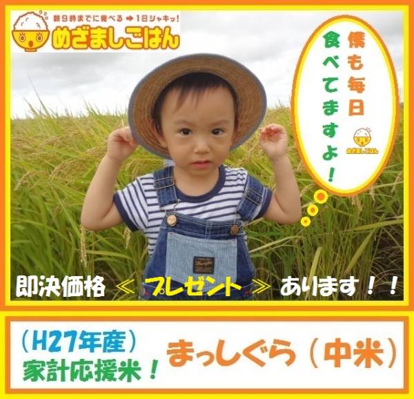 51 ★ 青森からお届け！！【家計応援 お得米】 白米 30 KG ★