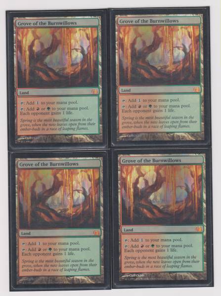 Foil 《燃え柳の木立ち/Grove of the Burnwillows(FUT)》 英 NM【MTG