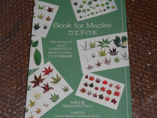 カエデの本 Book for Maples 矢野正善 日本楓刊行会 大 ◇楓 カエデの本 日本野生のカエデ 園芸 矢野正善 カエデの本 Book for