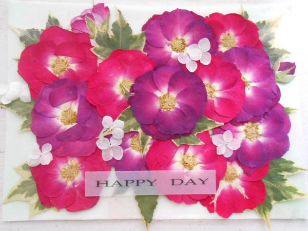 ★　赤系ミニバラ　押し花素材　★