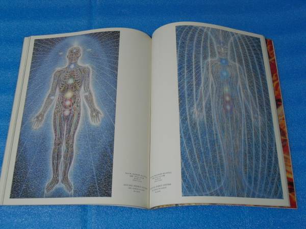 アレックス・グレイ Sacred - Mirrors Alex Grey Art of Mirrors: The