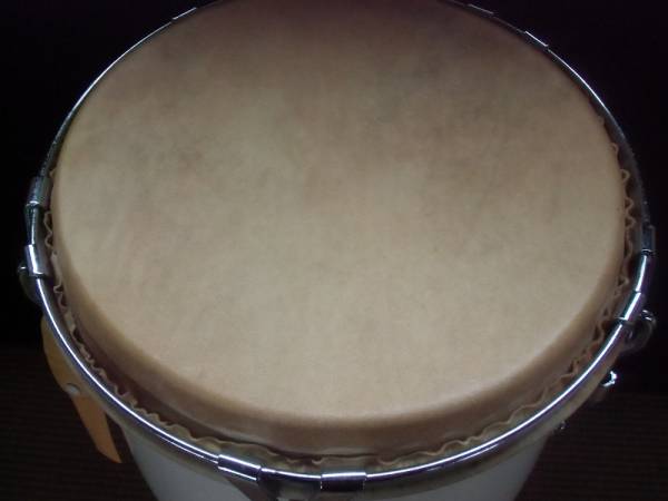Pearl パール コンガ 白 グラスファイバー 美品 打楽器 Yahoo