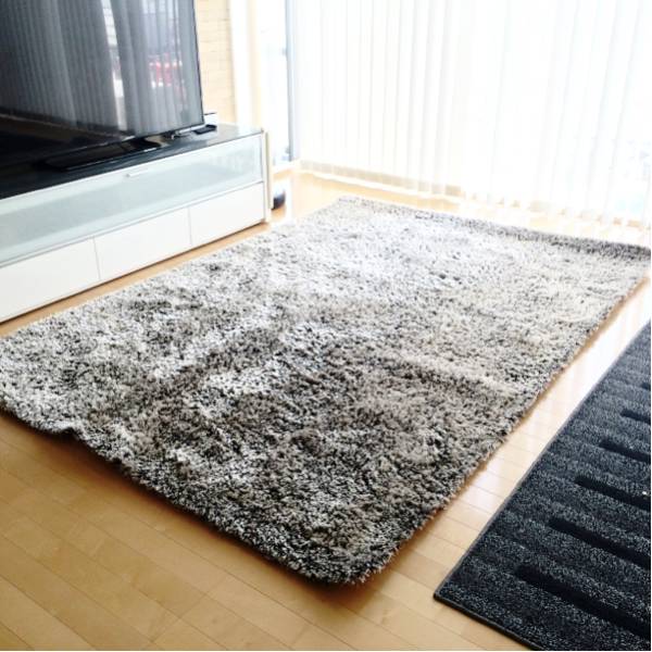 送料込 BoConcept ボーコンセプト 高級シャギーラグ 170 x 240