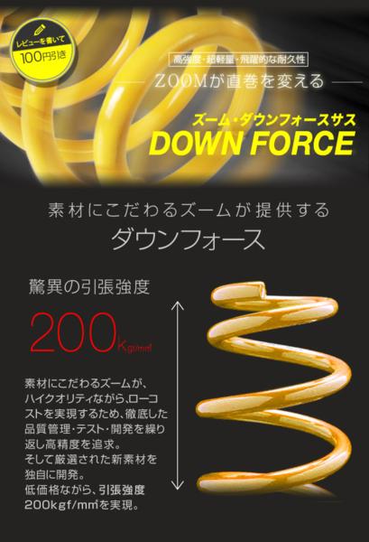 即決ダウンサス スズキ エスクード TD62W ZOOM ズーム ダウンサス