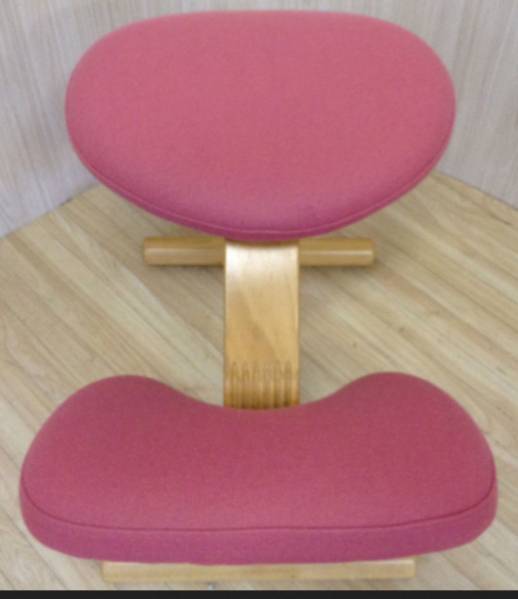 美品 バランスチェア・イージー ☆リボ Rybo社 専用カバー付き2 美品 バランスチェア・イージー ☆リボ Rybo社 専用カバー付き2