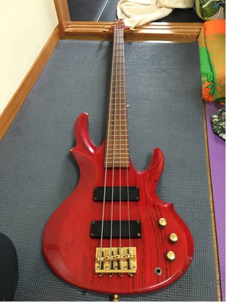 EDWARDS professional guitar& bass made in japan by ESP 【公式通販】