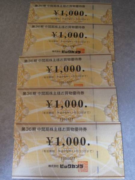 ビックカメラ株主優待券 H28 11/30まで　5000円分