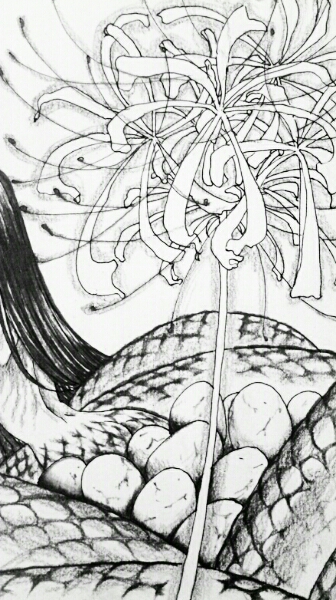 怪奇イラスト 蛇女 ヘビ女 産卵 猟奇 ホラー モノクロ 手描き 手描きイラスト 売買されたオークション情報 Yahooの商品情報をアーカイブ公開 オークファン Aucfan Com