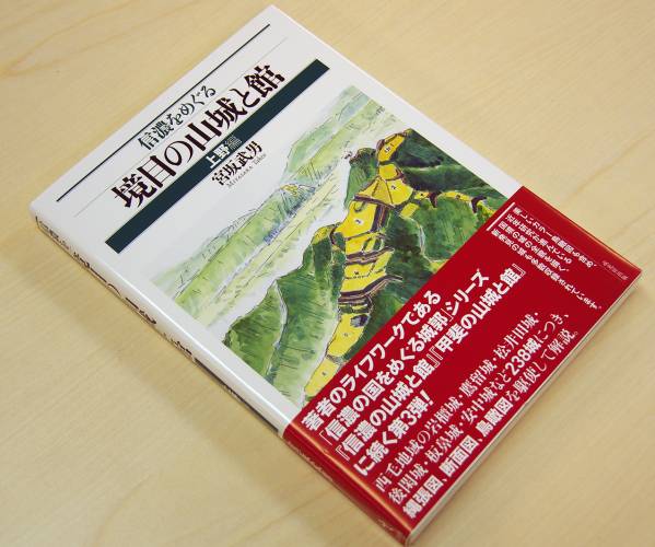 信濃をめぐる境目の山城と館 縄張図・断面図・鳥瞰図で見る | 上野編
