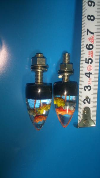 水中花ナンバーボルト