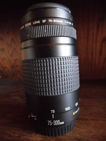 75-300mm EF F4-5.6 Canon キヤノン EF75-300mm USM - III II ズーム