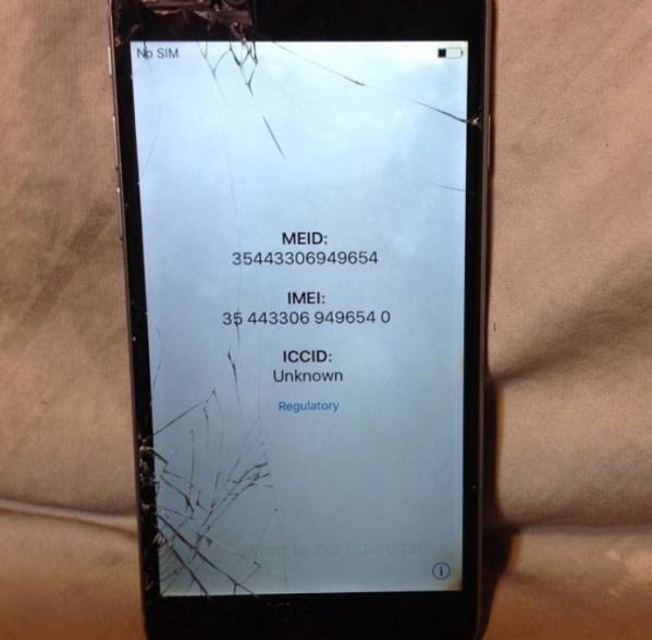 Apple iPhone 6 海外版 送料込 iphone6 【公式通販】