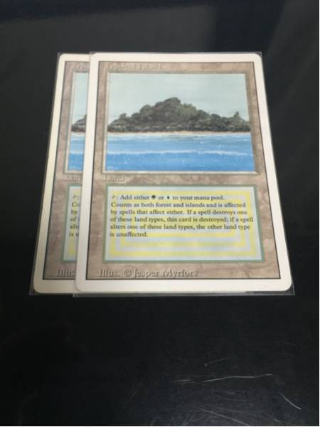 ☆Tropical Island☆ ２枚セット