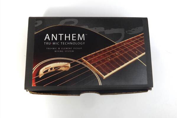 L.R. Baggs Anthem 送料無料